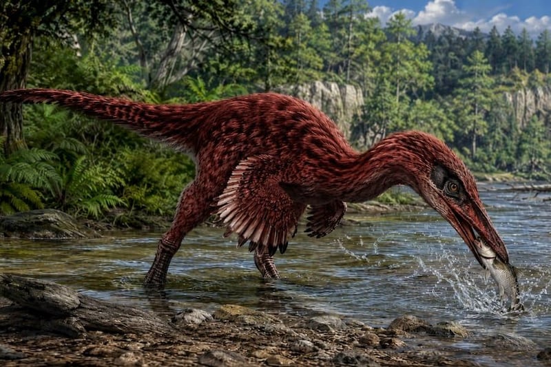 7000万年前にいた「新種のラプトル型恐竜」を発見ーーサギのような魚を狩る食性か