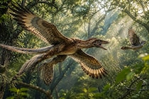 新種の羽毛恐竜を発見、研究者「まるで4枚の翼を持つ小さなドラゴン」