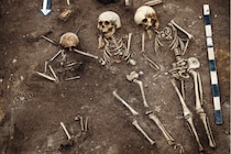 5500年前のシベリアで「最古のペスト流行」を発見