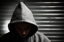 「計画的な殺人」は扁桃体の体積減少と関連していた