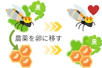 女王蜂は農薬を「卵」に押し付けて生き延びると判明