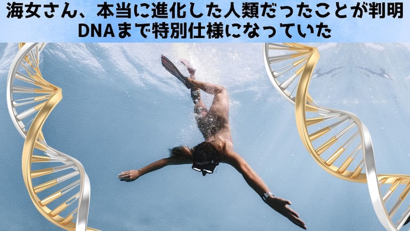 海女さん、本当に進化した人類だったことが判明:DNAまで特別
