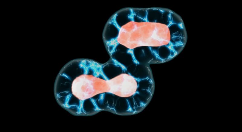 人工細胞は、生存競争まで始めた