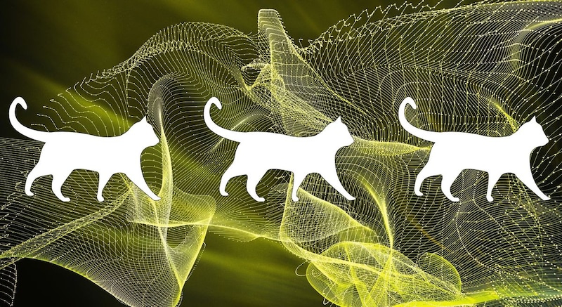 シュレーディンガーの猫は時空のゆらぎから解くことができる