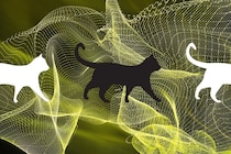 シュレーディンガーの猫を「時空のゆらぎ」で解く――時空を量子化しない理論の挑戦