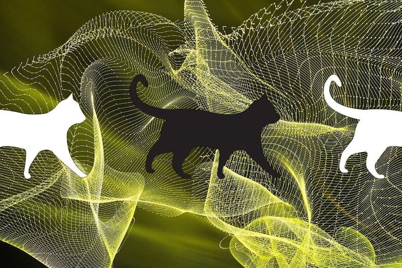 シュレーディンガーの猫を「時空のゆらぎ」で解く――時空を量子化しない理論の挑戦