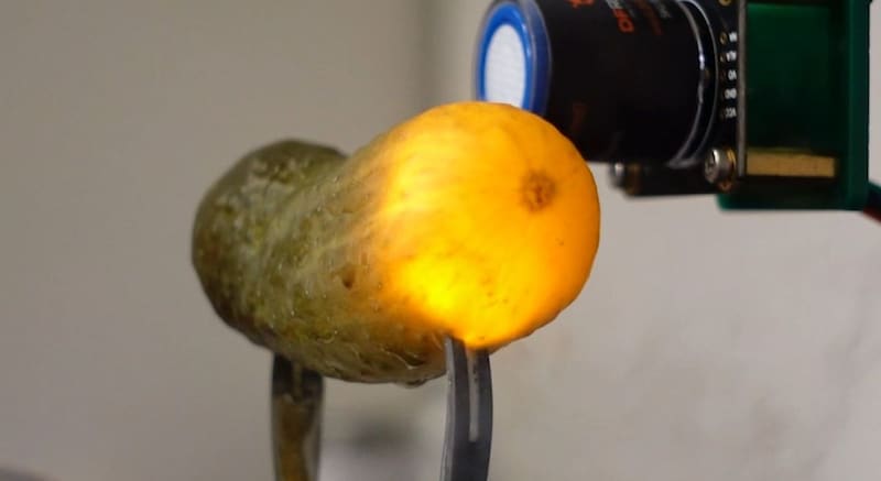 「食べられる電線」——なぜピクルスに電気が通るのか