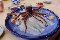 死んだイカに「醤油をかけると踊り狂う」科学的しくみを解説