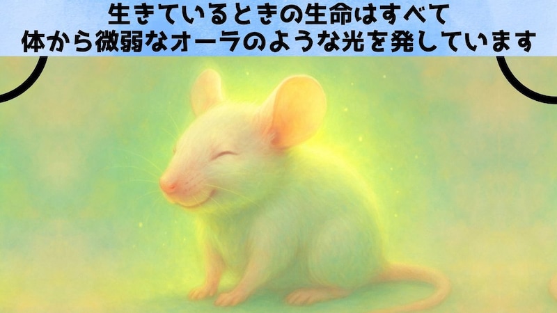 「オーラ」は科学で測れる？　謎の微弱光と生存の関係