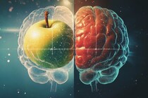 脳が「現実と想像」を区別する方法