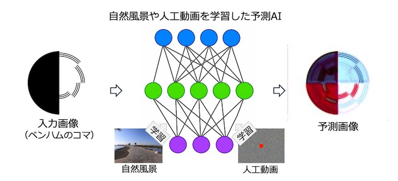 白黒のベンハムのコマから、予測するAIが色を生み出すイメージ