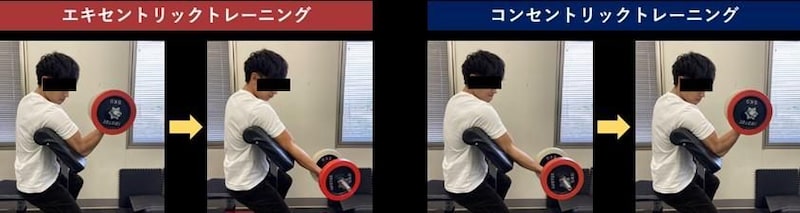 エキセントリック(伸長)とコンセントリック(収縮)の筋トレ図
