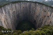 巨大陥没穴「天坑」が絶滅危惧樹木を守り、同時に適応力を低下させていた