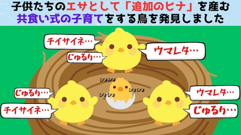 子供たちのエサとして「追加のヒナ」を産む鳥がいると判明!