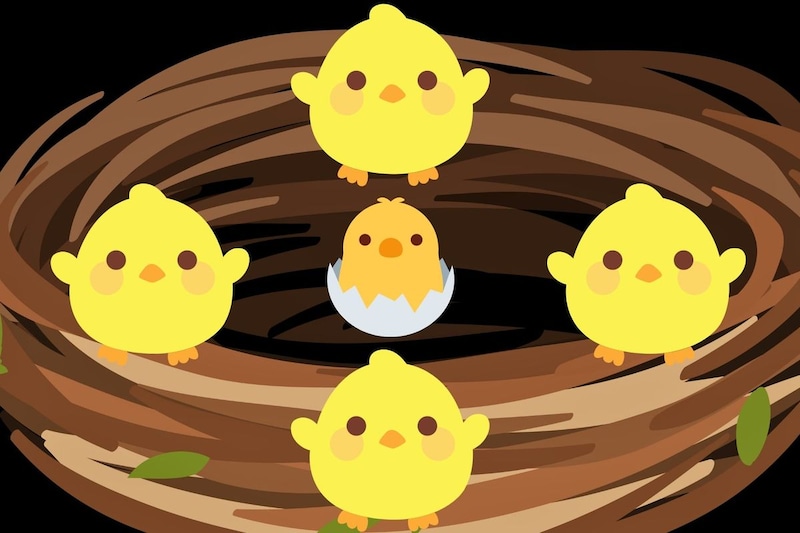 子供たちのエサとして「追加のヒナ」を産む鳥がいる