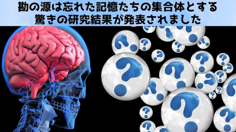 忘れられた記憶はあなたの選択に「勘」という形で影響を与え続ける