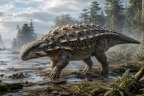 日本発「新種の装甲恐竜」を発見、北海道で見つかった化石から判明