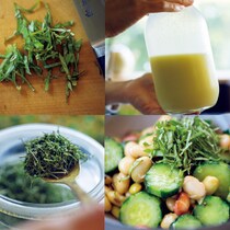 小川糸さん　滋味深い日常のレシピ5品