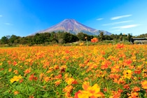 【50代のこよみ養生 Vol.43】秋は“行楽養生”しよう！体質別おすすめ行楽スポット&過ごし方