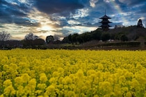 【50代のこよみ養生 Vol.20】あなたは陰と陽、どちらに偏っている？春分は「陰陽バランス」を整えよう