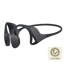 アルツハイマー予防になりそうなガンマ波サウンド装置!? 【清水ミチコさん】モノ語りエッセイ