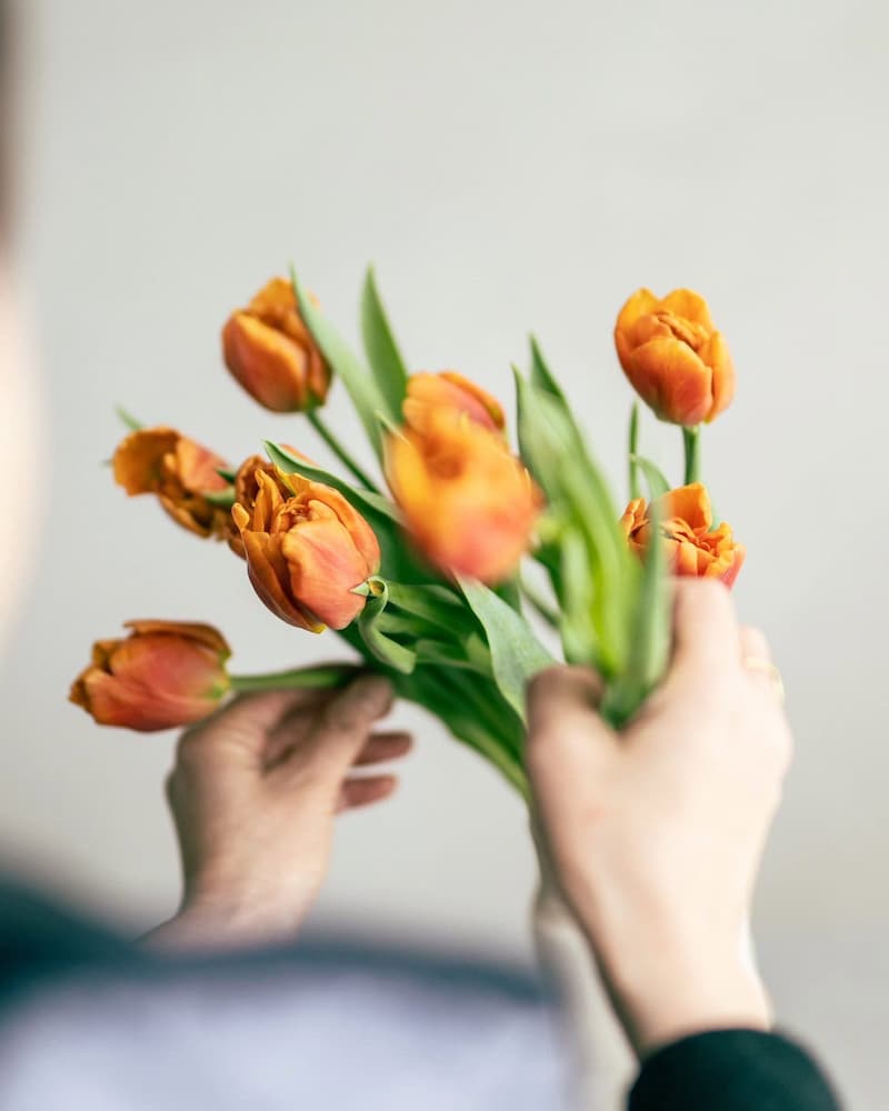 新しい季節のはじまり「立春」は、チューリップとともに【連載vol.6 ー今日花(こんにちばな)通信ー】