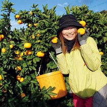 「おてつたび」に18回参加【50代の生き方】暮らすように旅する喜びを語る