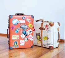 【神野三鈴さん】連載 「私の今日も 人類の歴史の中の一日なのだ！」