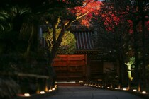 【大人の没入型文化体験】「かげろひ 虚空 kokuu」冬の鎌倉・報国寺で「竹取物語」と「川端康成」の幽玄な世界にタイムトリップ