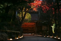 【大人の没入型文化体験】「かげろひ 虚空 kokuu」冬の鎌倉・報国寺で「竹取物語」と「川端康成」の幽玄な世界にタイムトリップ