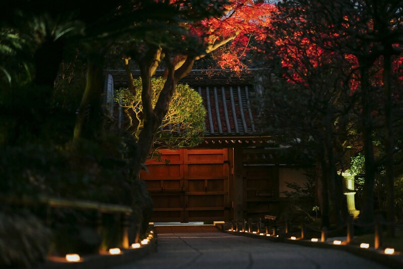 【大人の没入型文化体験】「かげろひ 虚空 kokuu」冬の鎌倉・報国寺で「竹取物語」と「川端康成」の幽玄な世界にタイムトリップ