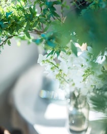 日永の季節。うつろう心と光と花のこと【連載vol.7 ー今日花(こんにちばな)通信ー】