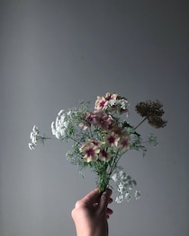 今の心を映す花。「機嫌は、自分でとる」【連載vol.8 ー今日花(こんにちばな)通信ー】