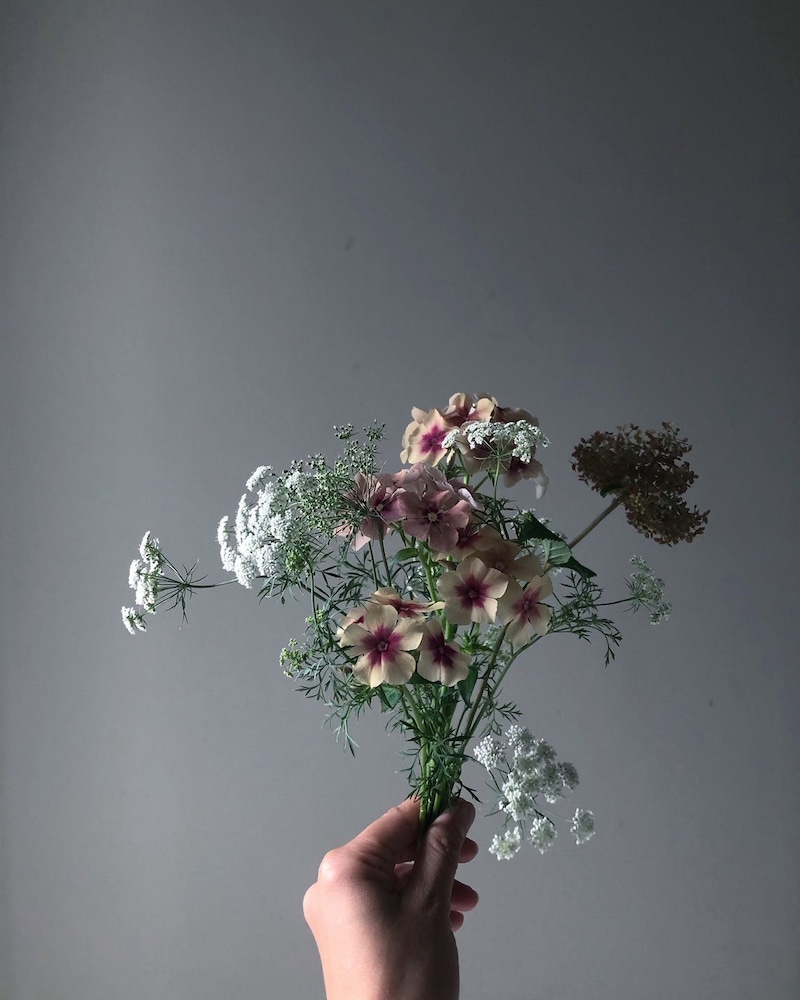 今の心を映す花。「機嫌は、自分でとる」【連載vol.8 ー今日花(こんにちばな)通信ー】