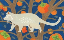 酒井順子さんエッセイ【野生動物の脅威は東京にも】