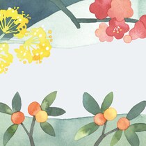 50代の漢方薬大全［体の痛み／日常の不調編］