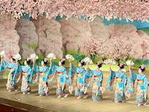 【50代の京都旅】京都に春を告げる「都をどり」で芸妓さん・舞妓さんの舞にうっとり♡