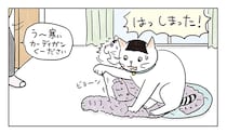 猫マンガ『ねころびもひとしお』 第53話『おあいこ...ということで』（おばあさんとねこ）