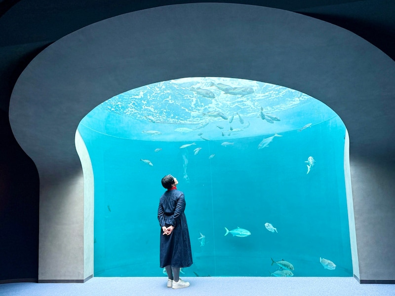 【50代の四国旅】かわいいカワウソに出合える「四国水族館」＆空を泳ぐ金魚を撮影できる「ゴールドタワー」へ