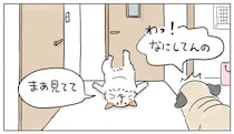 猫マンガ液体？個体！「猫からのプチ挑戦状」