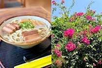 【50代の沖縄旅】宮古島で出合うローカルなかわいい＆おいしい