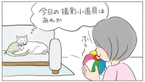 【読み切り猫マンガ】ねころびもひとしお『ベストショットは突然に？』