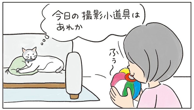【読み切り猫マンガ】ねころびもひとしお『ベストショットは突然に？』