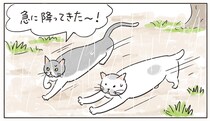 猫4コマ漫画「ねころびもひとしお」【雨宿り、失敗…？】