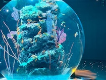 【50代の神戸旅】劇場みたいな水族館「アトア」&日本唯一のチョコレートパッケージ専門ミュージアム