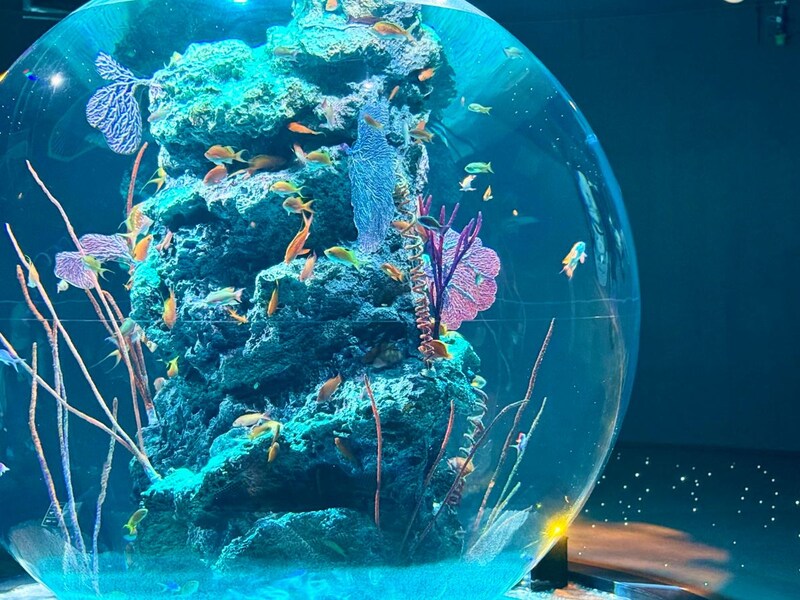 【50代の神戸旅】劇場みたいな水族館「アトア」&日本唯一のチョコレートパッケージ専門ミュージアム
