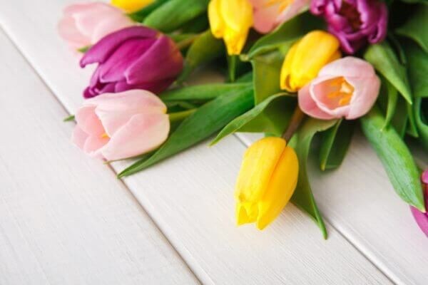 花言葉が「片思い」のお花には何がある？ 意味も詳しくご紹介！