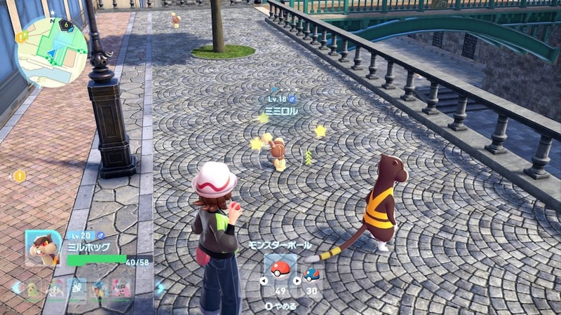 昼は、ポケモンとの共存を目的としてつくられた区画 「ワイルドゾーン」の探索がメイン