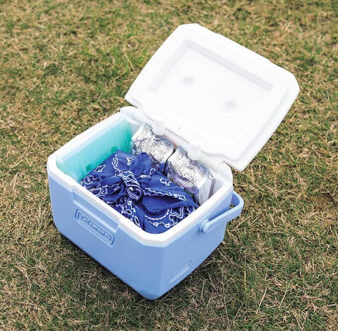 テイク6　「子どもの部活や運動会にも＜カラー ：デイドリーム＞」