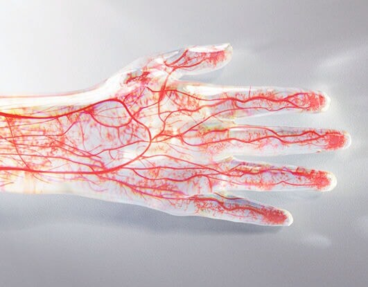 ReD
ReD バイタルテック スリープ プルオーバー 長袖＆ジョガーパンツセット　「独自の血行促進繊維を採用！」